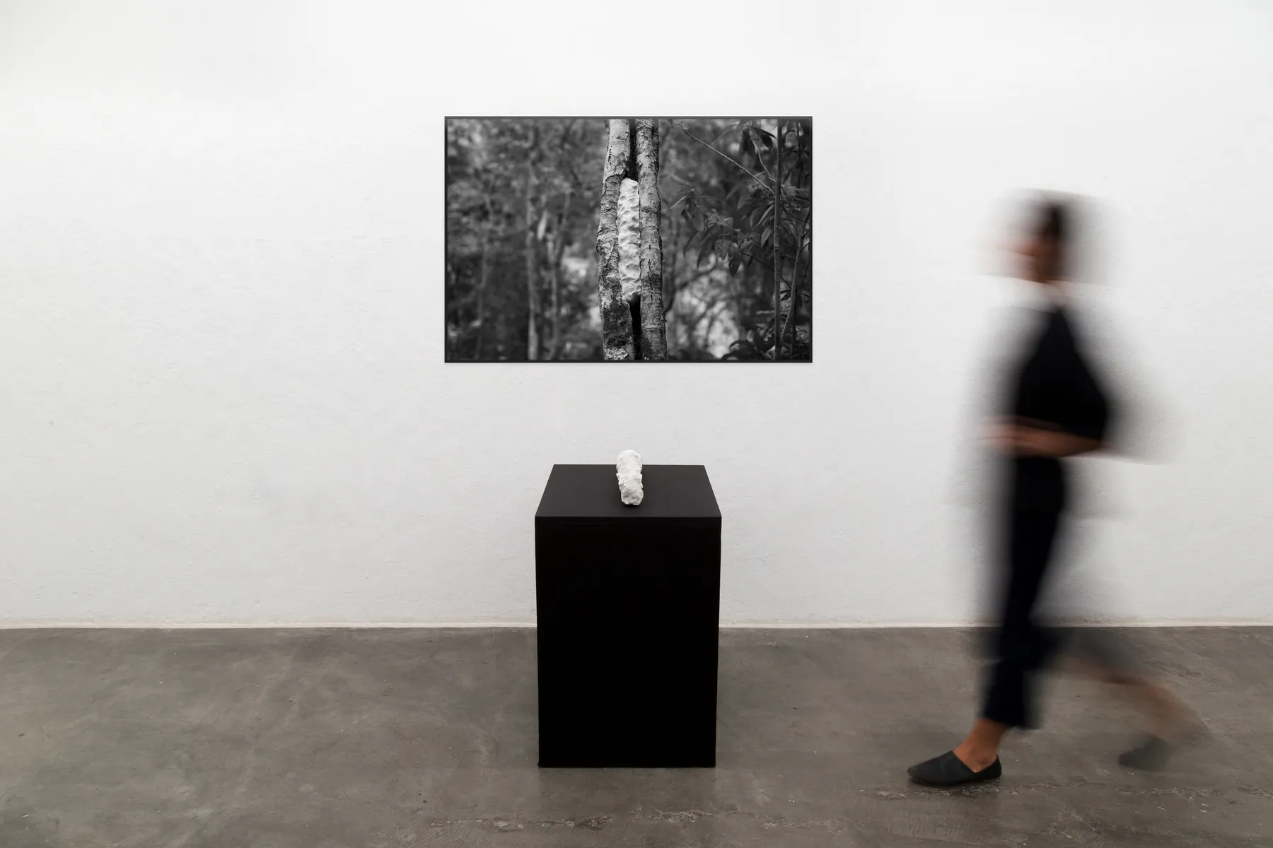 Maria Laet, Entre elas (alguma coisa concreta, capaz de se deixar quebrar), 2020