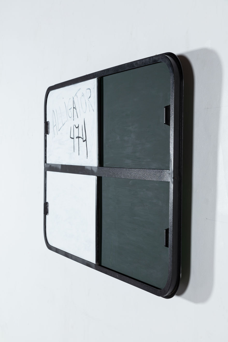 Agrade Camíz, Alligator 3, 2022