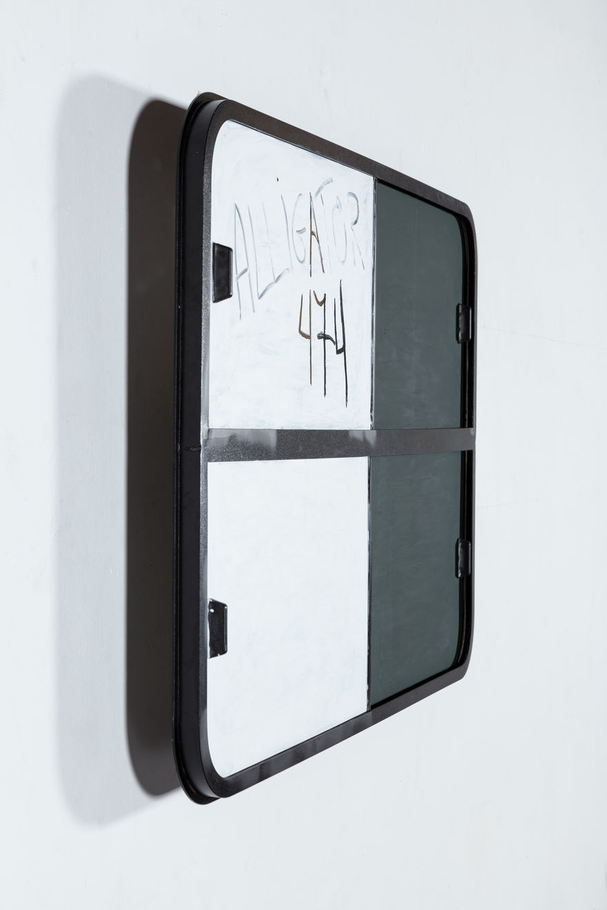 Agrade Camíz, Alligator 3, 2022