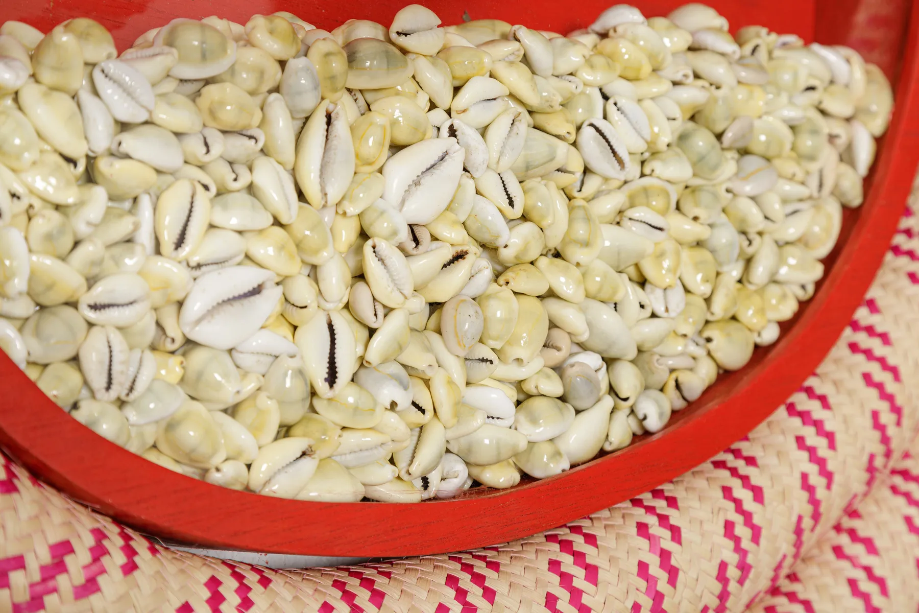 Maria Nepomuceno, Gira #3, 2023