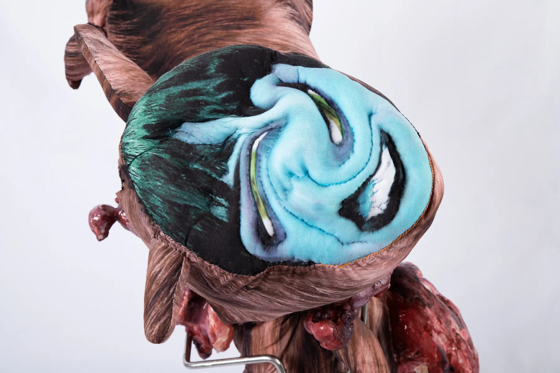 ABRE ALAS #17, ANNA, Explosão Cadelinha, 2019