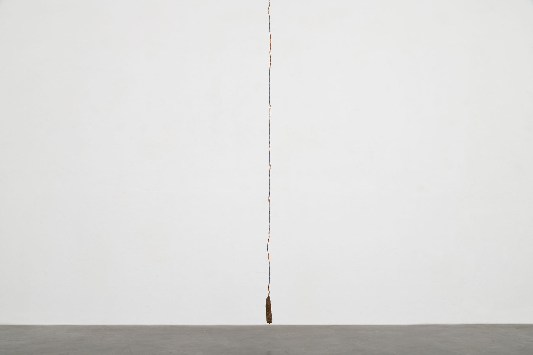 ABRE ALAS #18, Ana Bia Silva, Estigma, 2020