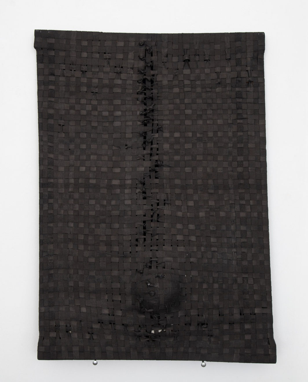 Jarbas Lopes, Pintura Elástica, 2023