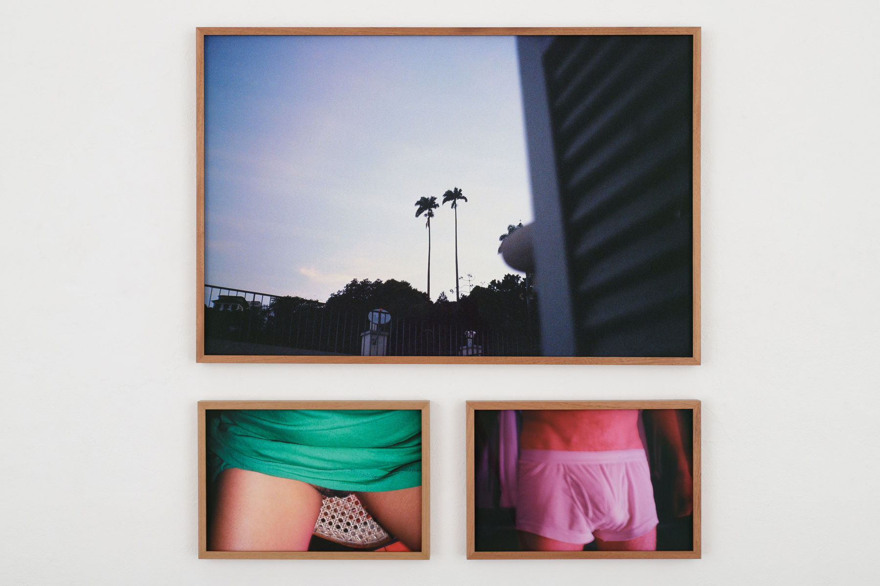 Aleta Valente, Palm dreams, 2020