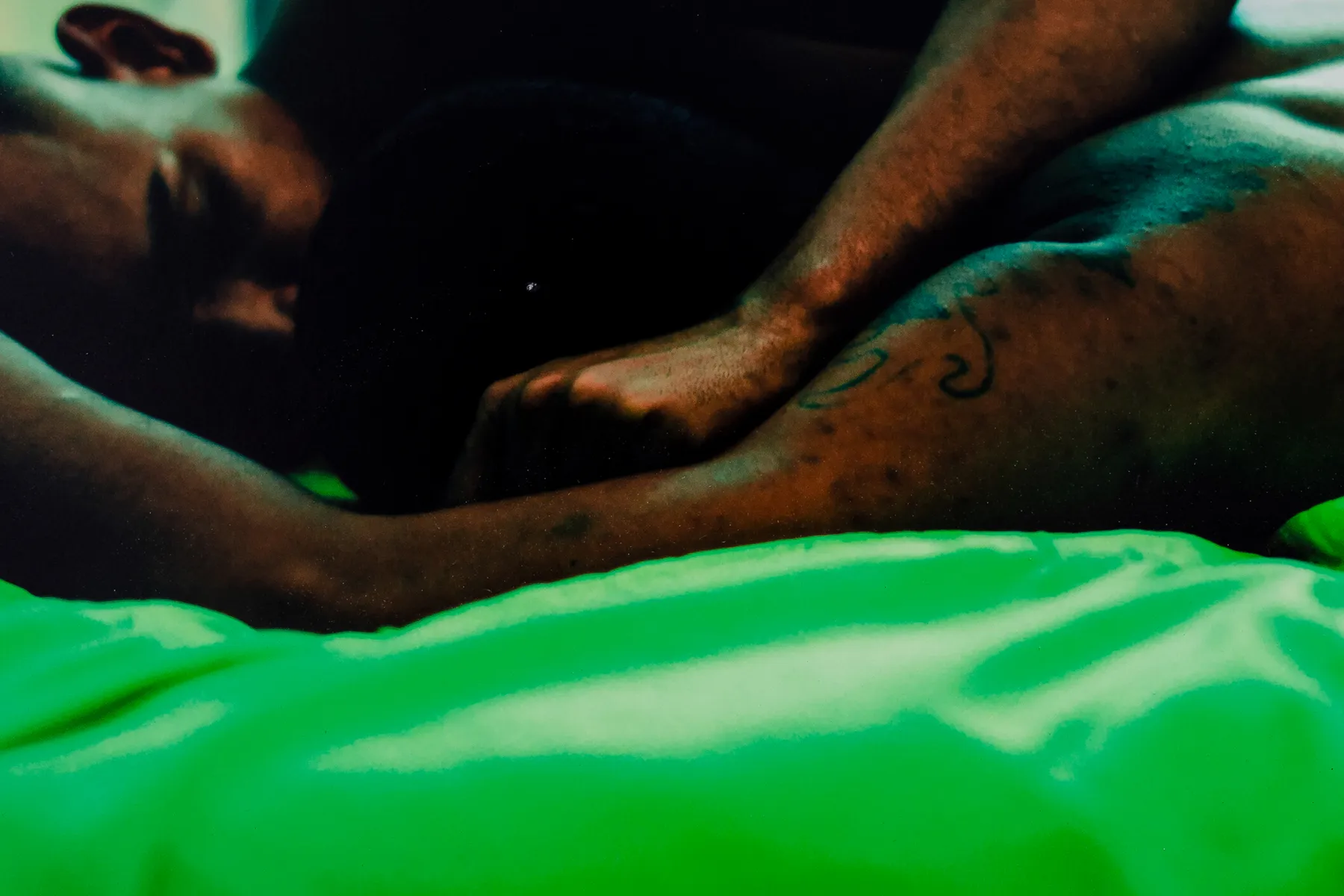 ABRE ALAS #17, Paulo Jorge Gonçalves, osPRIMOS, 2019