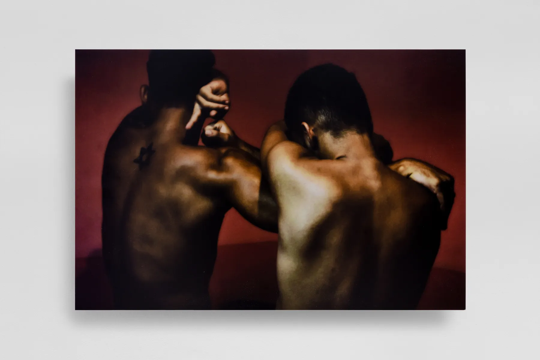 ABRE ALAS #17, Paulo Jorge Gonçalves, Fraternal, 2016