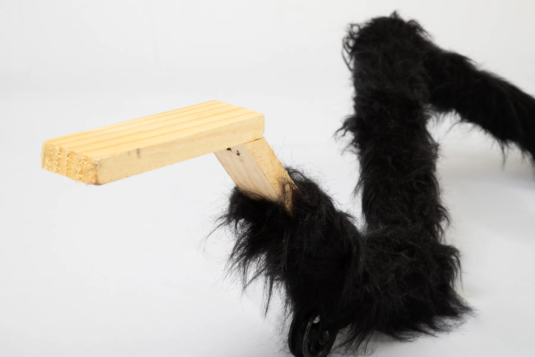 ABRE ALAS #17, Renan Soares, sem título [untitled], 2021