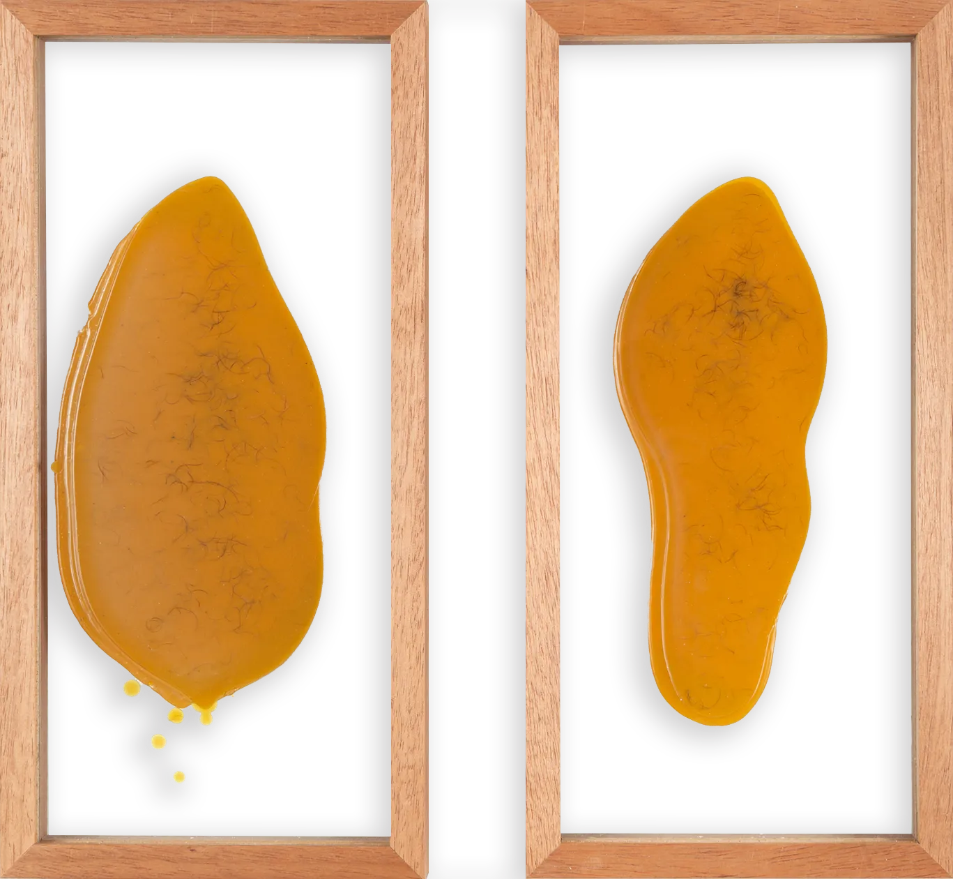 Aleta Valente, Beleza | Axilas de Agosto, 2020