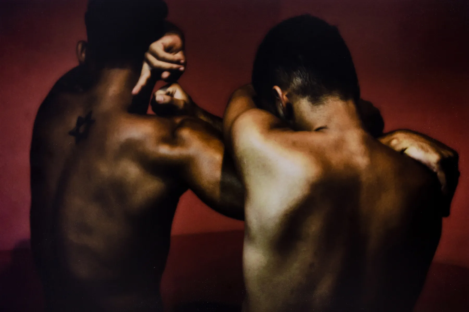 ABRE ALAS #17, Paulo Jorge Gonçalves, Fraternal, 2016