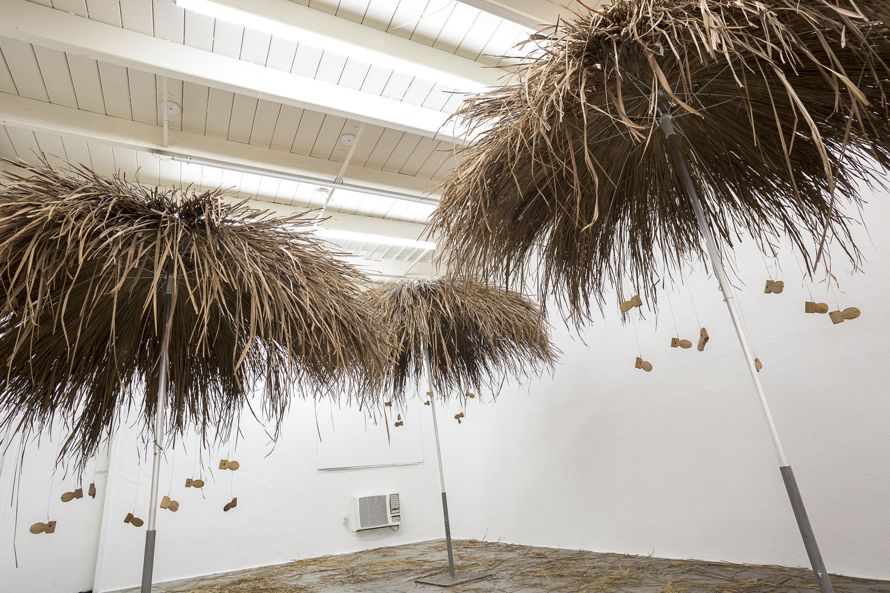 OPAVIVARÁ!, Oca Gira, 2017