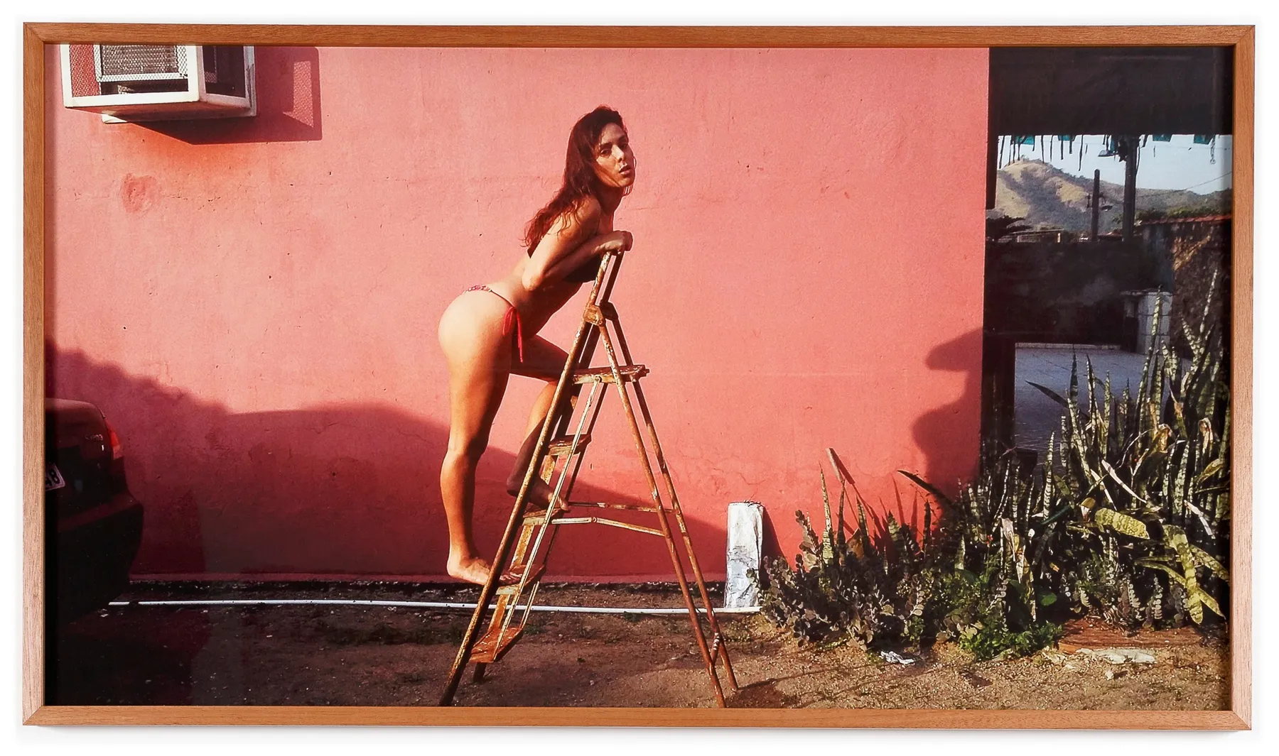 Aleta Valente, Ascensão Social, 2015