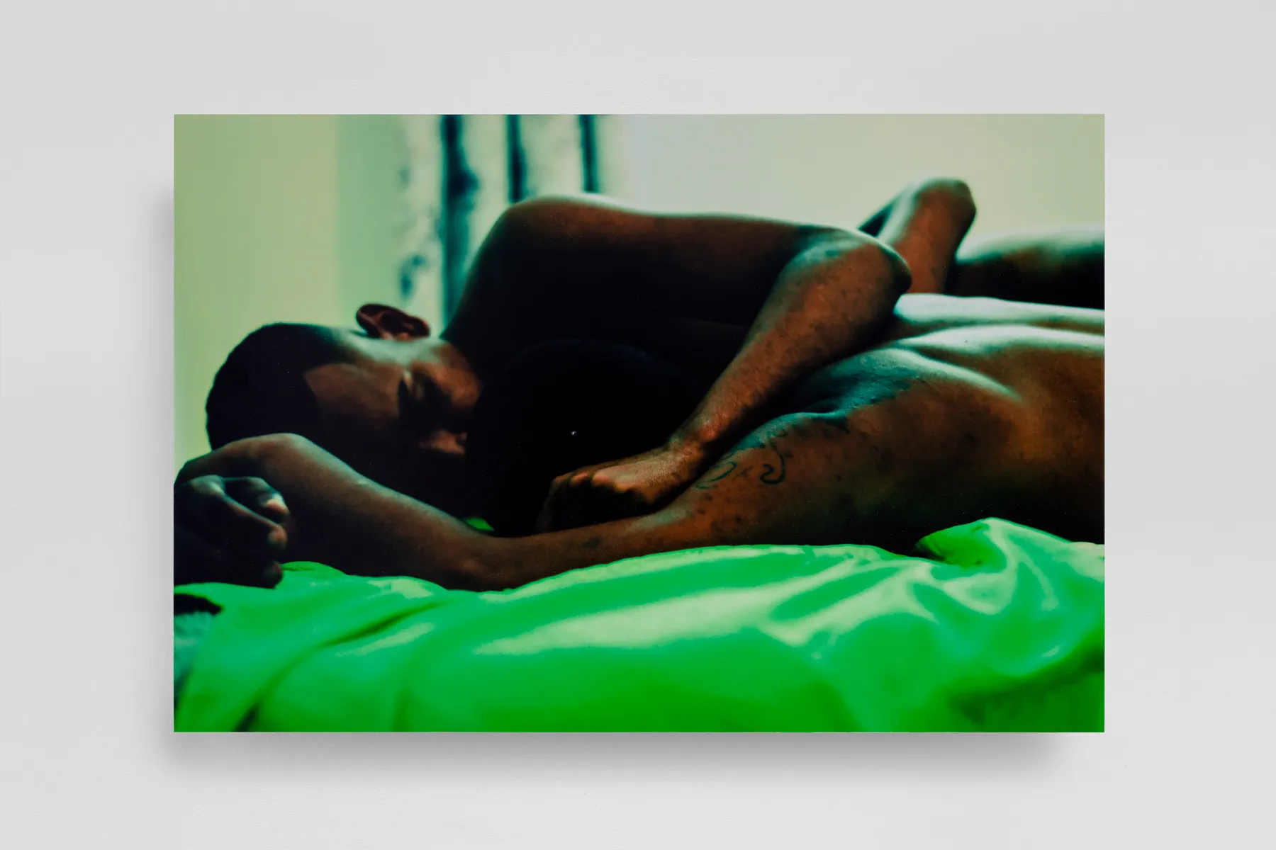 ABRE ALAS #17, Paulo Jorge Gonçalves, osPRIMOS, 2019