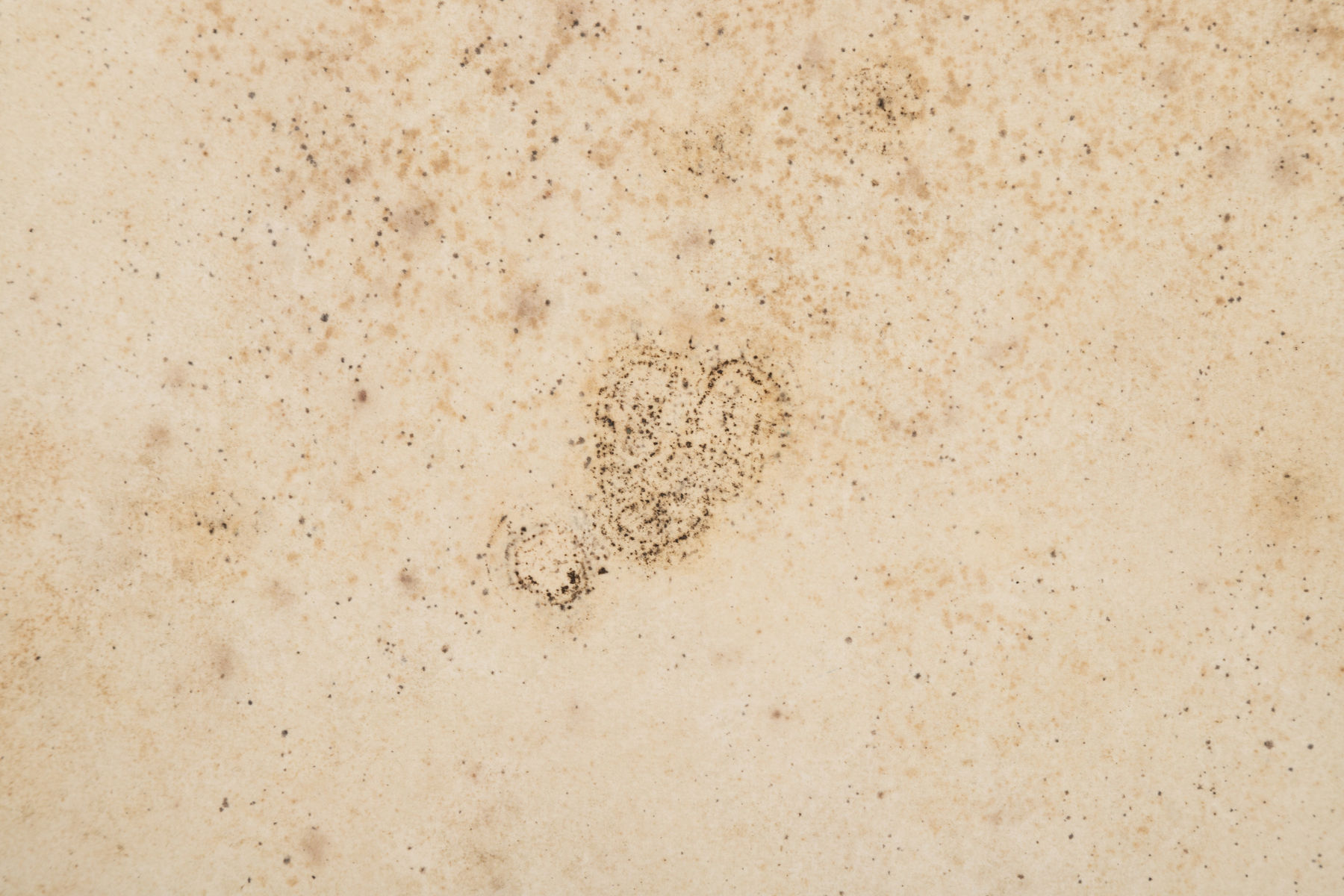 Jarbas Lopes, Sem título, 2023