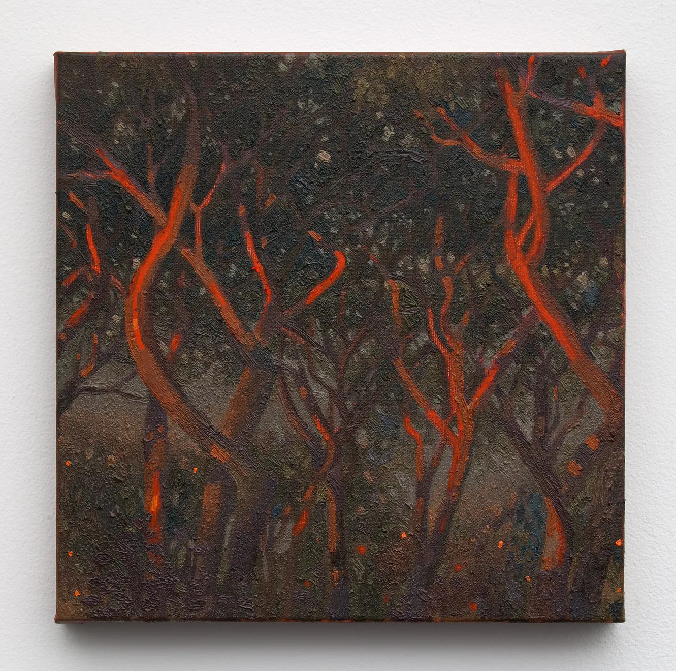 Miguel Afa, Despedida do sol no Jardim das Laranjeiras, 2026