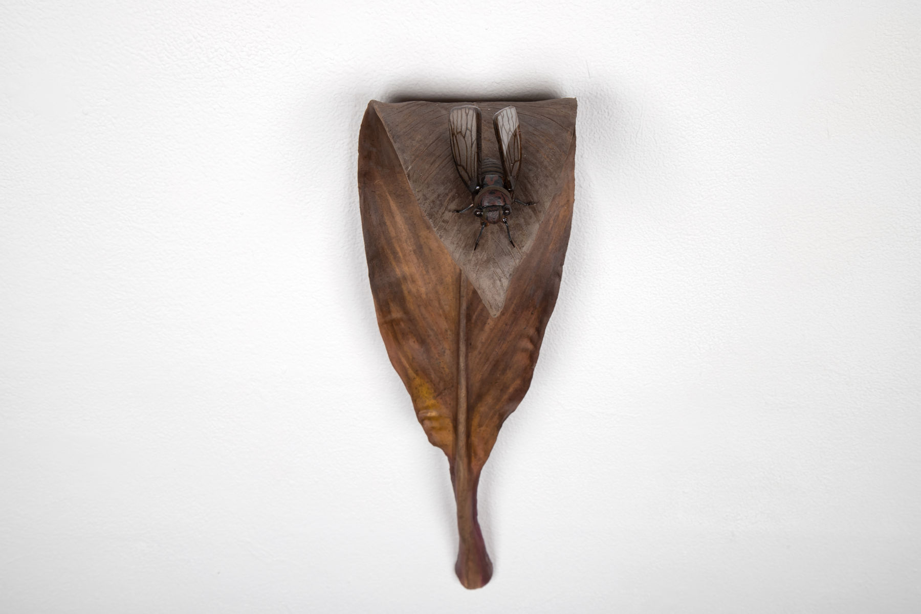 Rodrigo Torres, Da seiva ao canto, 2022