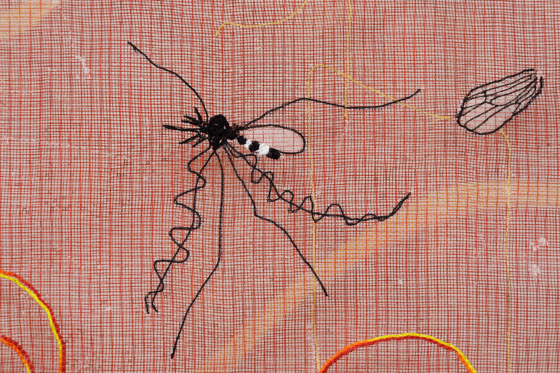 Vivian Caccuri, Lexapro, 2022