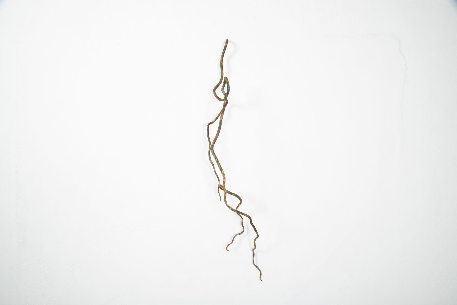 Rodrigo Torres, Vida na terra, 2022