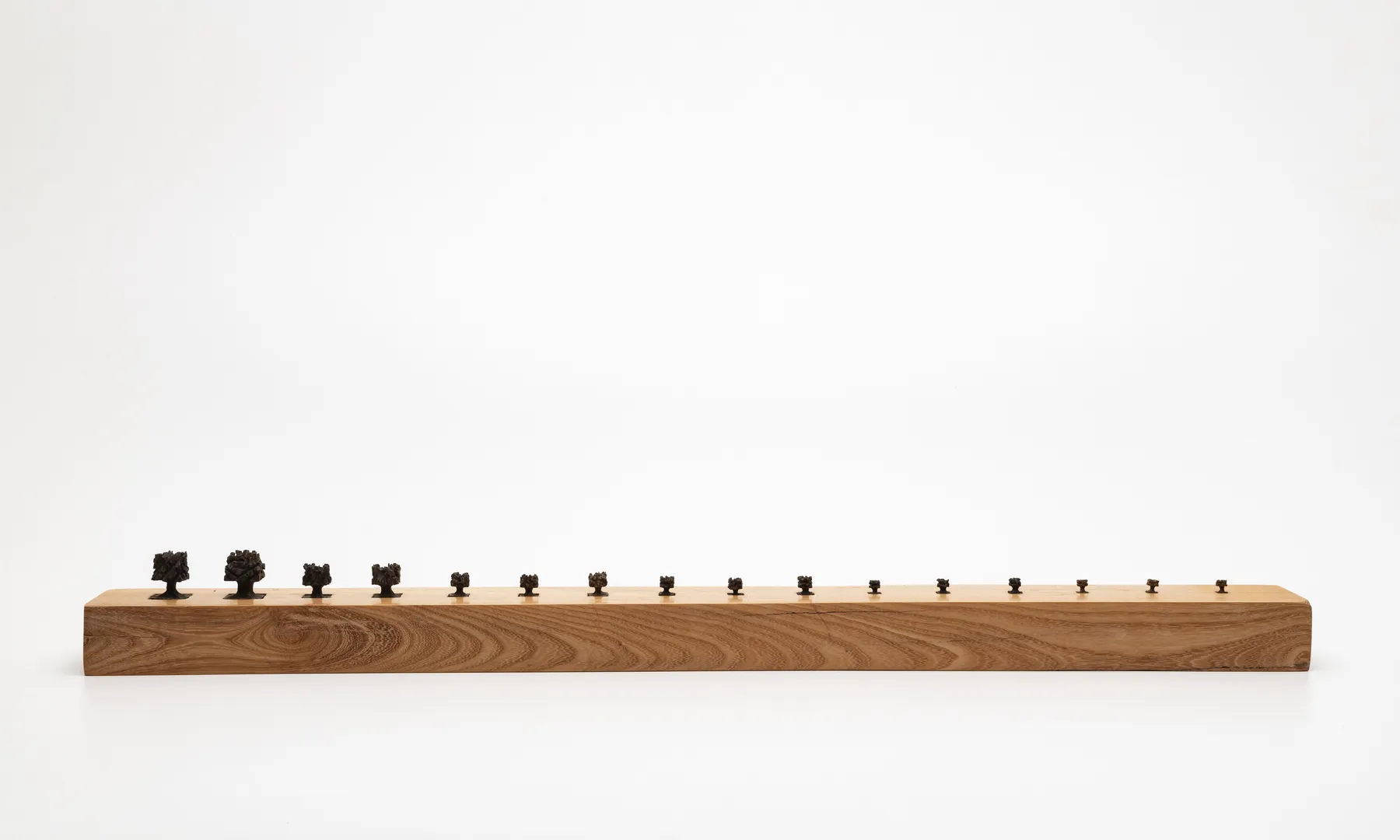 José Bento, táboa de choro, 2017