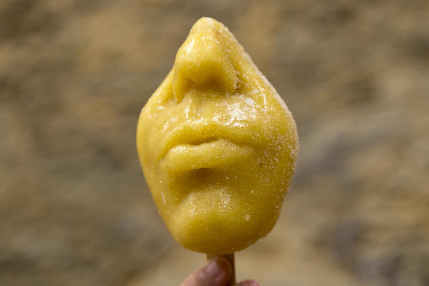 OPAVIVARÁ!, TUPYCOLÉ, 2017