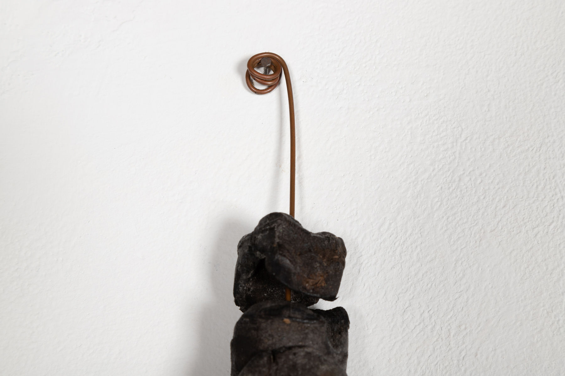 Jarbas Lopes, Vertebrado, 2023