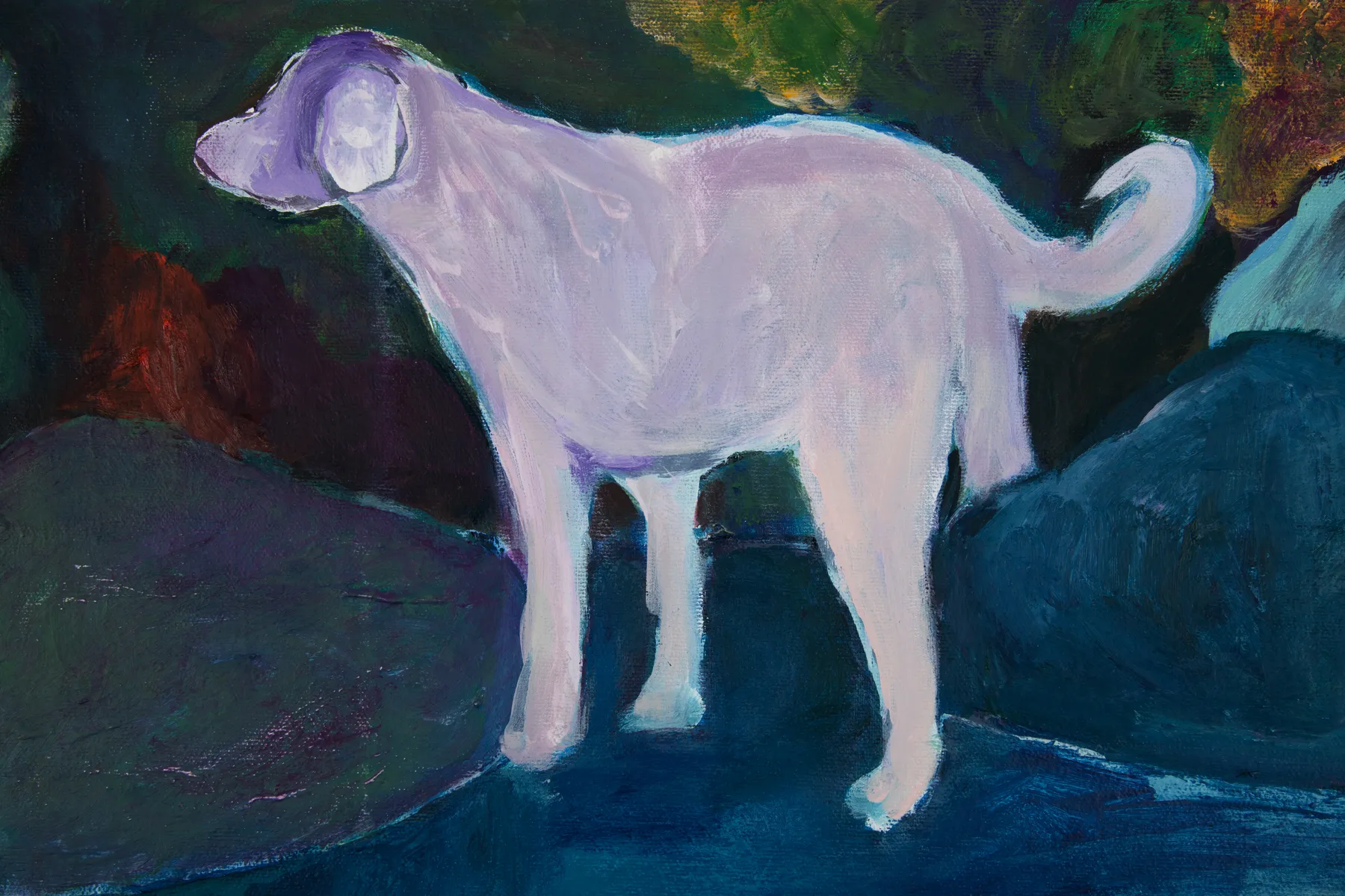 ABRE ALAS #17, Fava da Silva, Cachorros 06, 2021