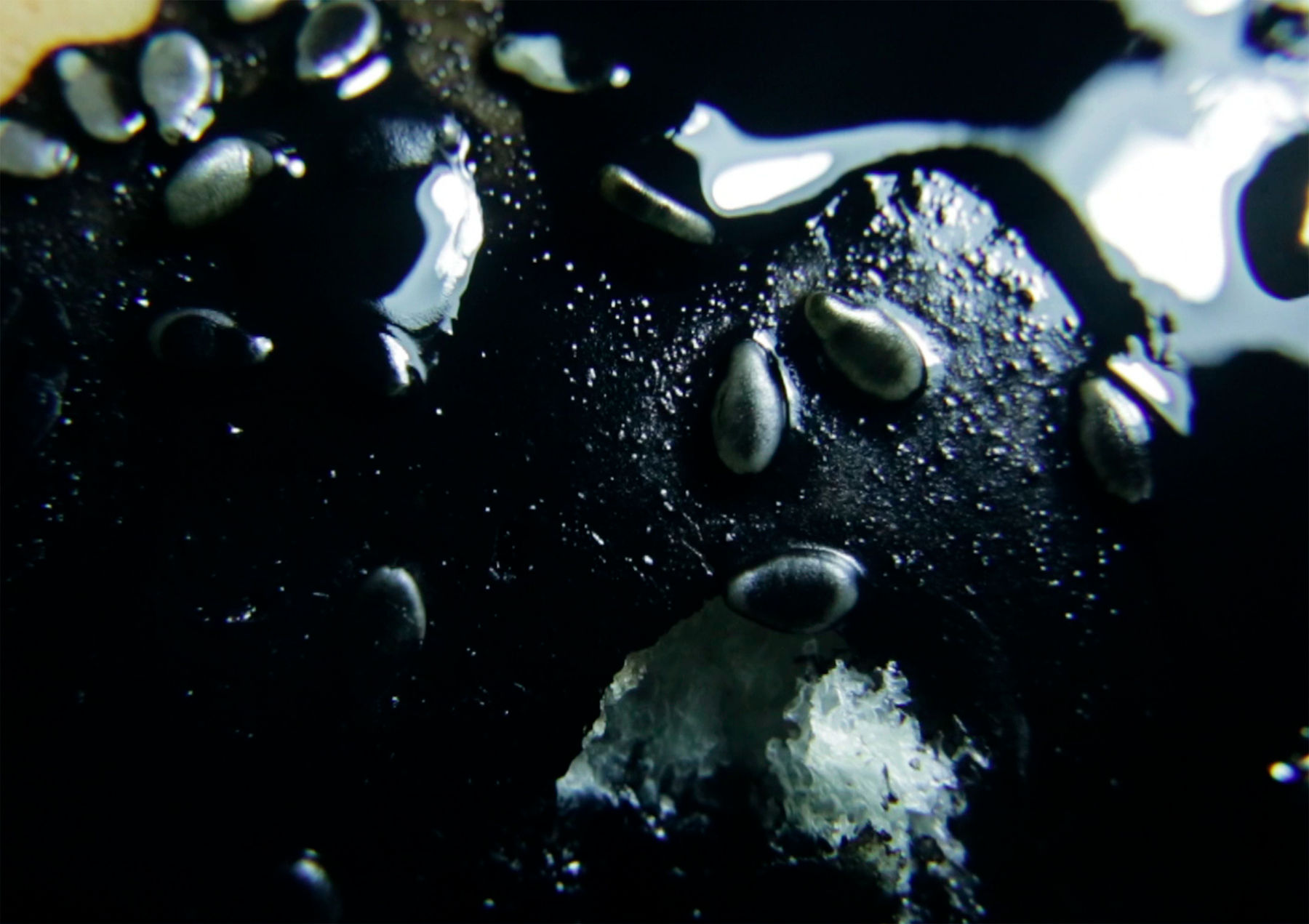 ABRE ALAS #17, Ian Schuler, A Noite dos Lanches, 2020