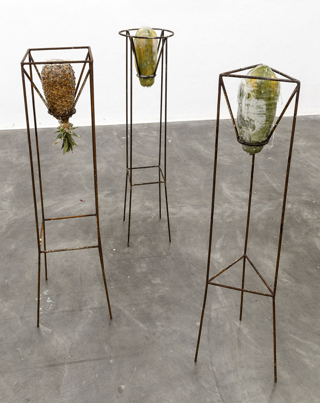 ABRE ALAS #16, Darks Miranda, Caroço, 2019