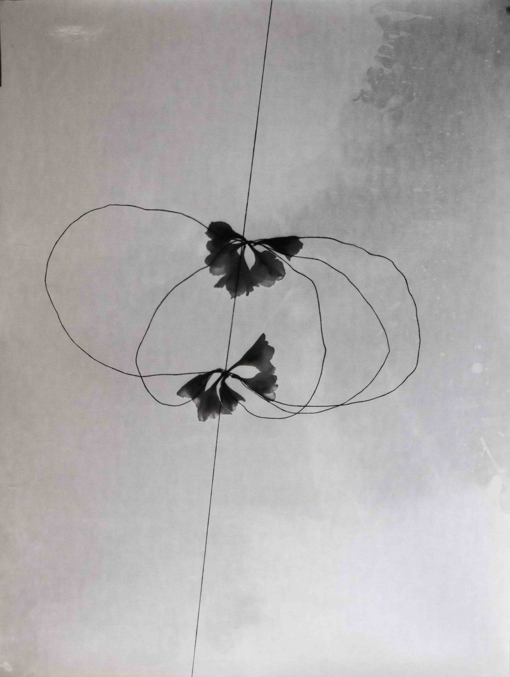 Kunié Sugiura, Filaments E Positive, 1999