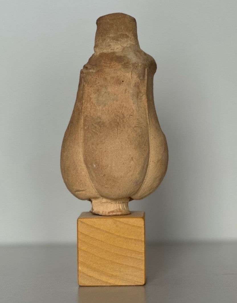 Anna Gleeson, Untitled, 2024