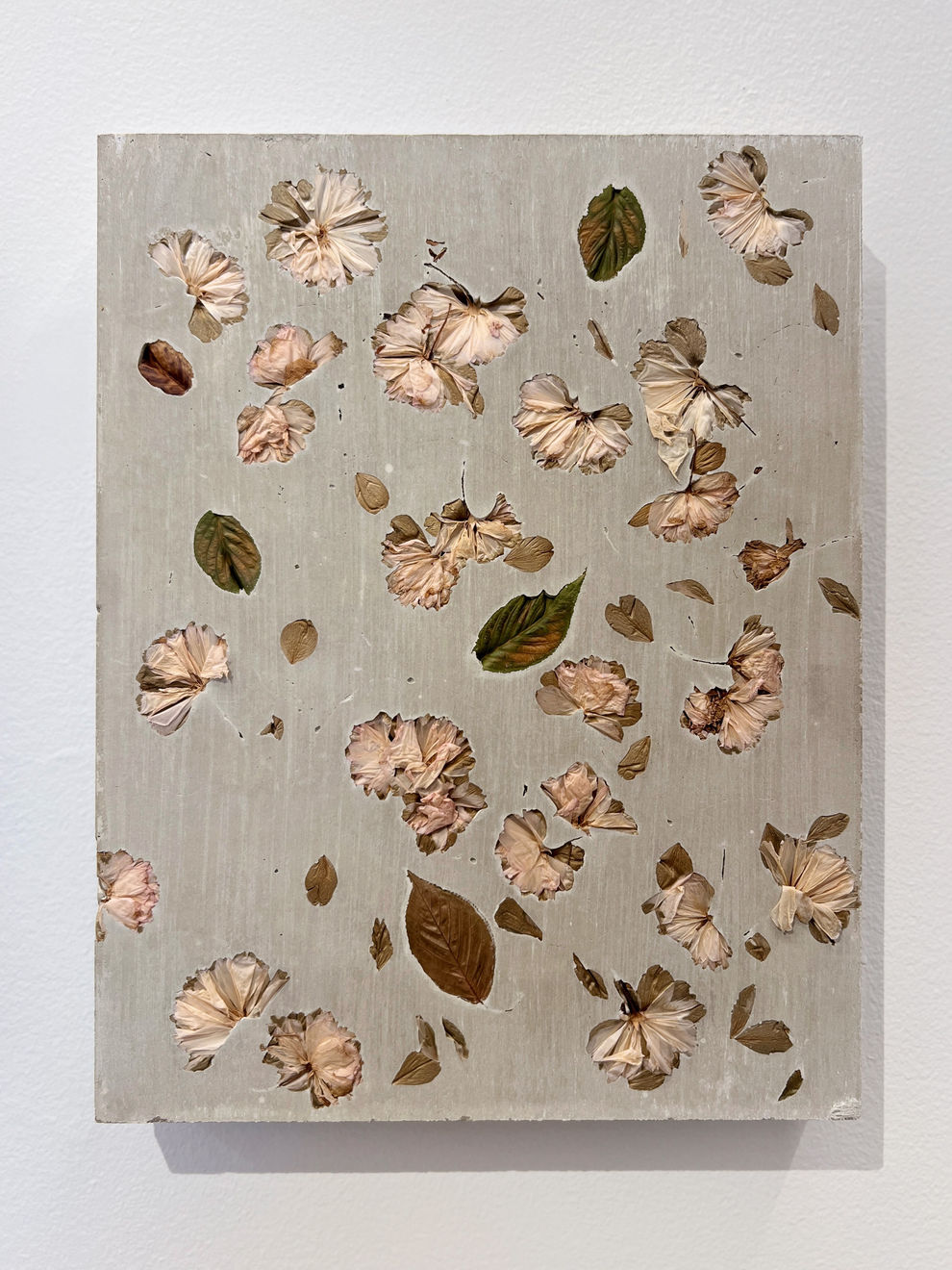 Motohiro Takeda, Hanaikada I, 2024