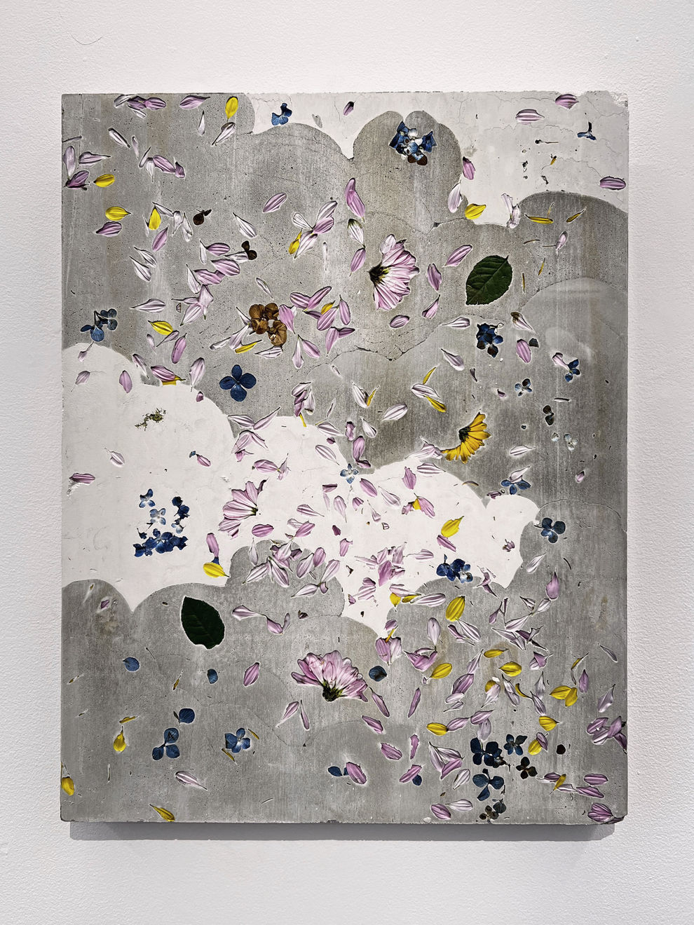 Motohiro Takeda, Hanaikada V, 2024