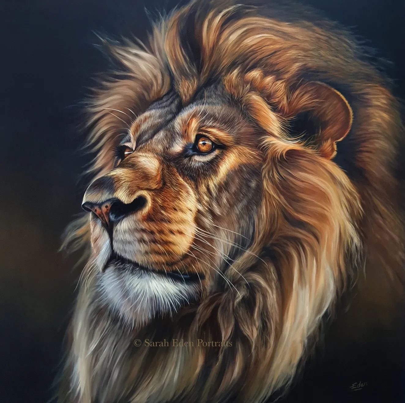 Sarah Eden, First Light