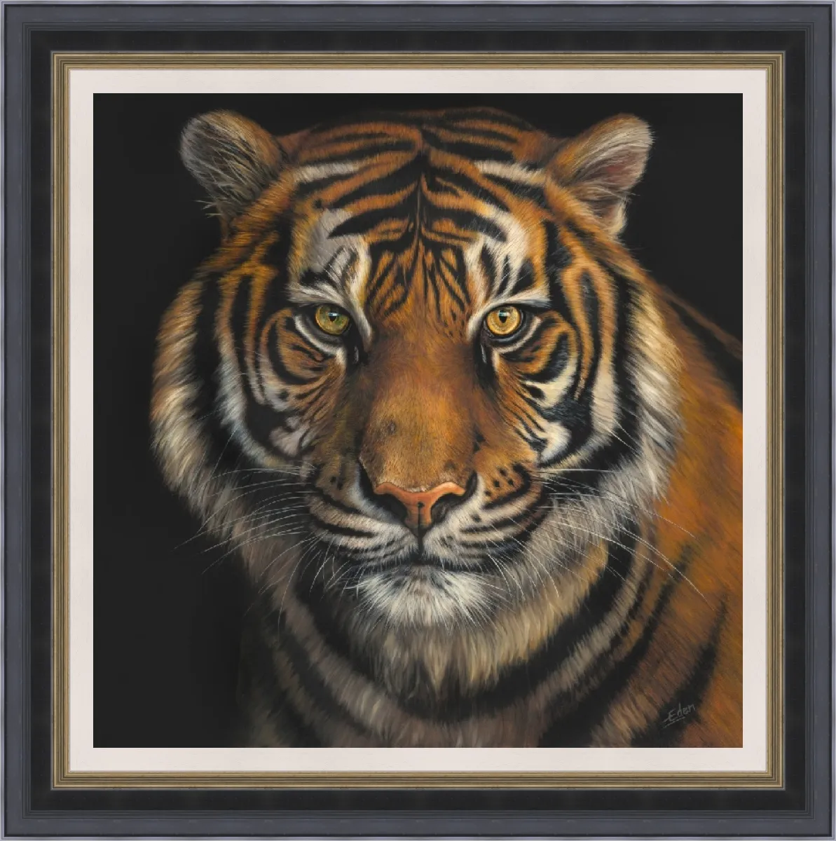 Sarah Eden, Hungry Eyes