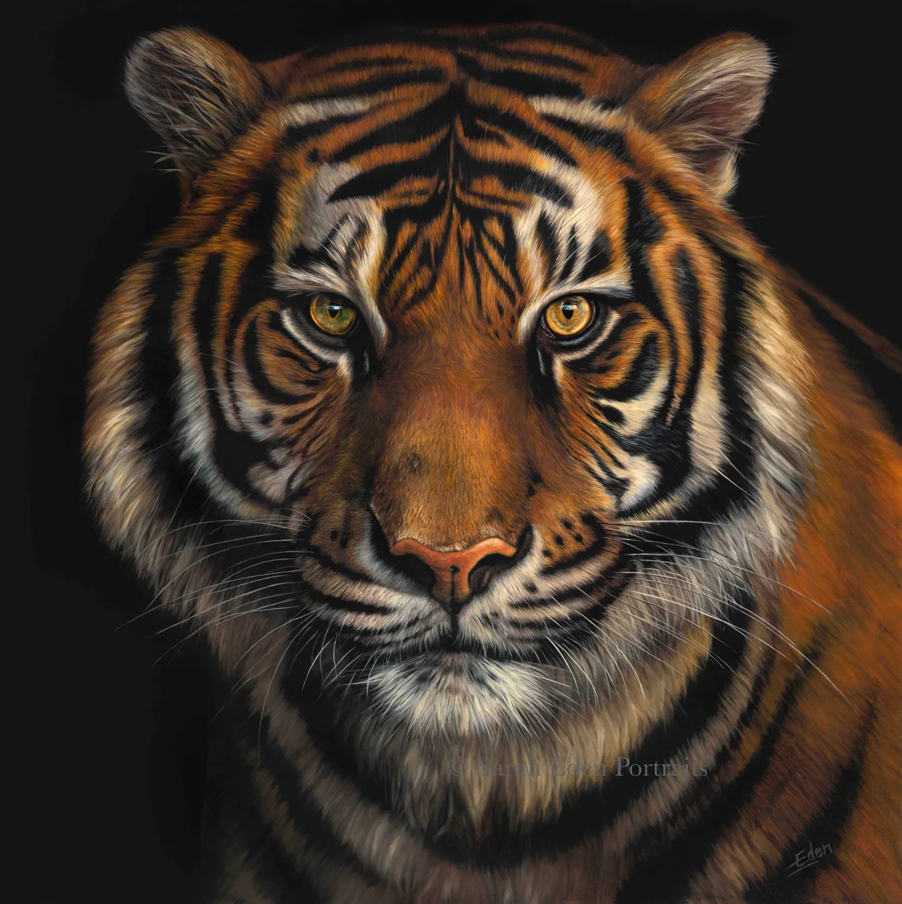 Sarah Eden, Hungry Eyes