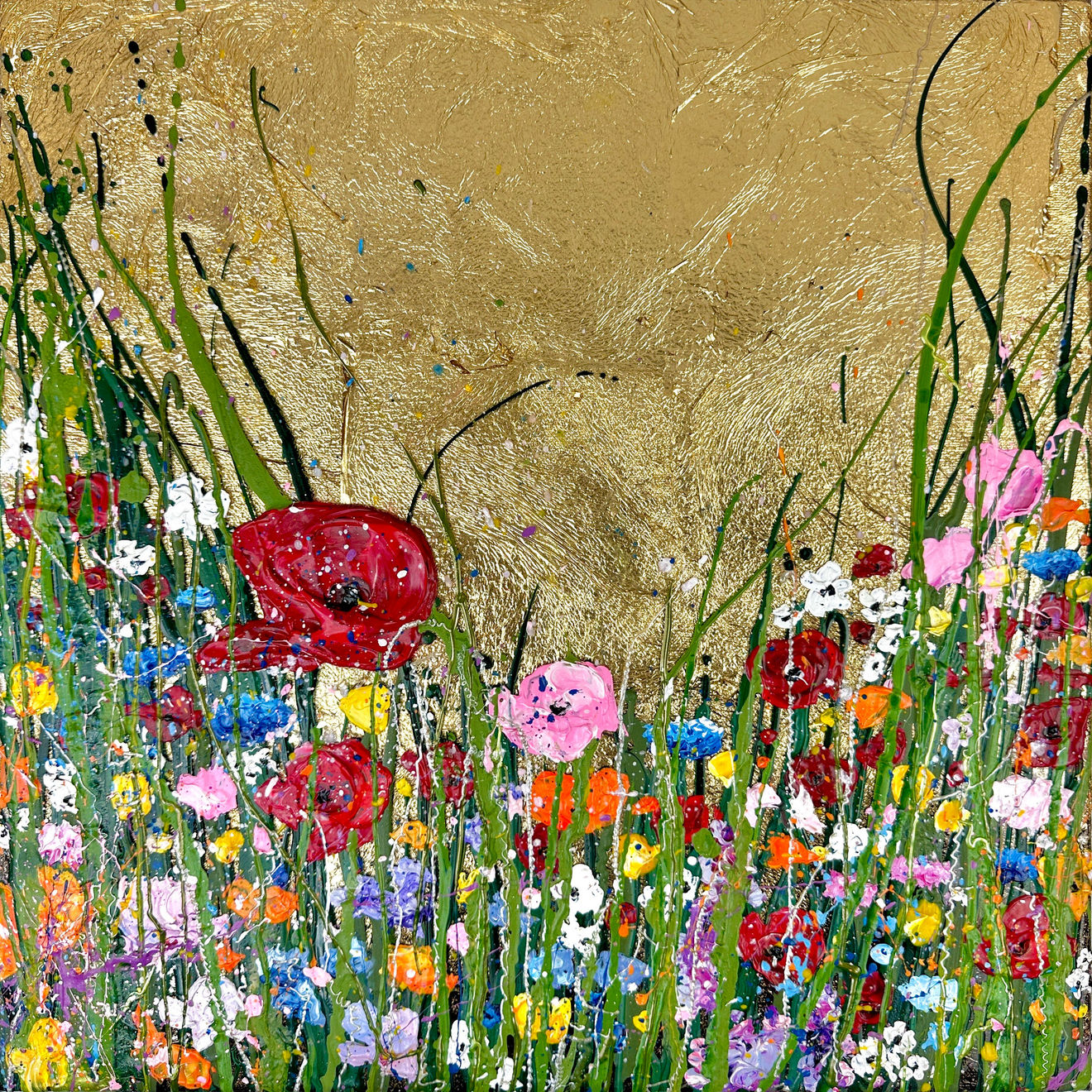 Holly Anastasia, Wild Poppies