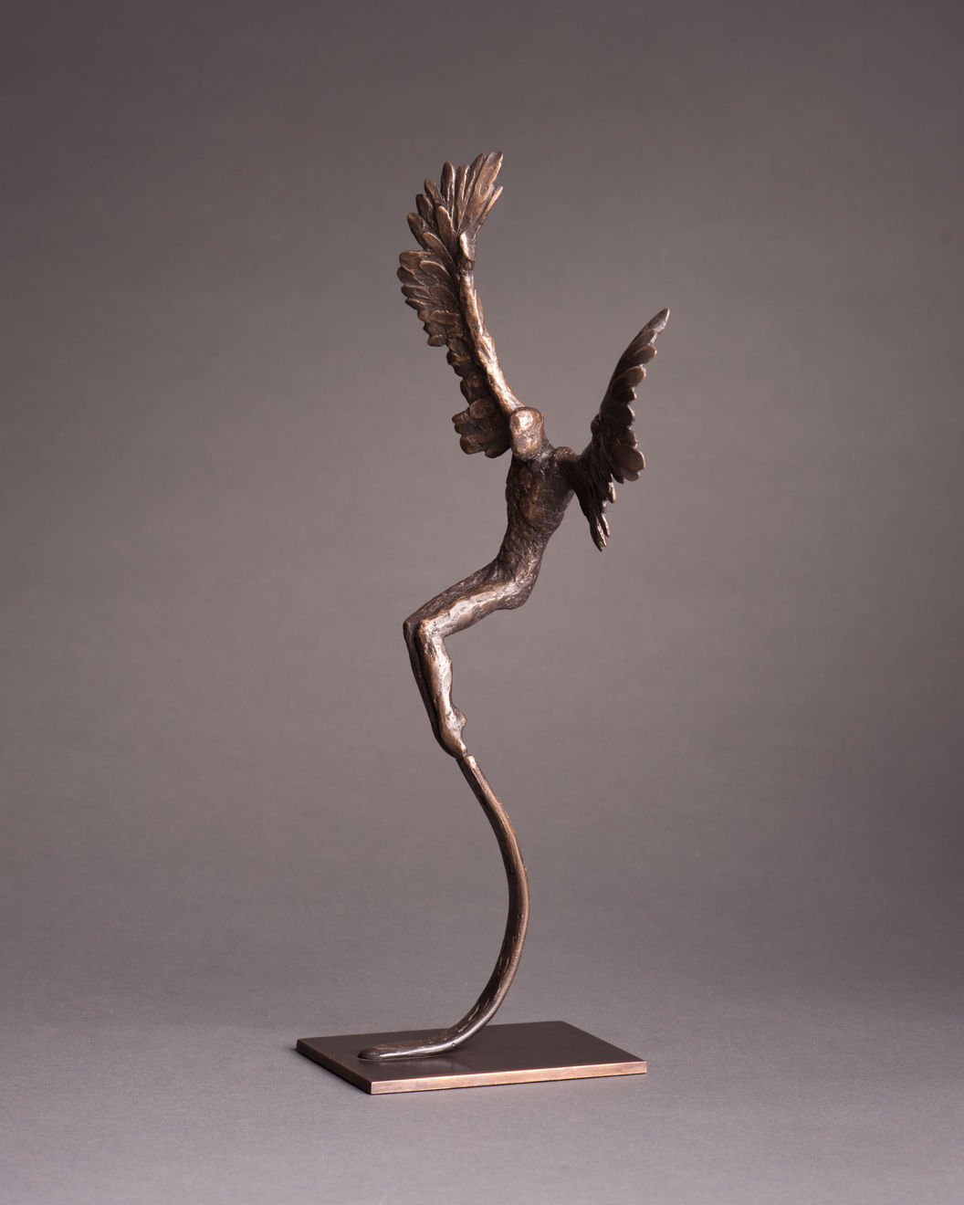 Nicola Godden, Icarus V