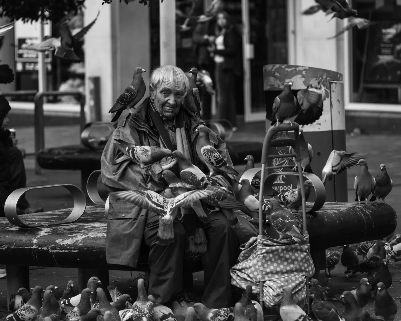 Ant Dailey, The Bird Man, 2022