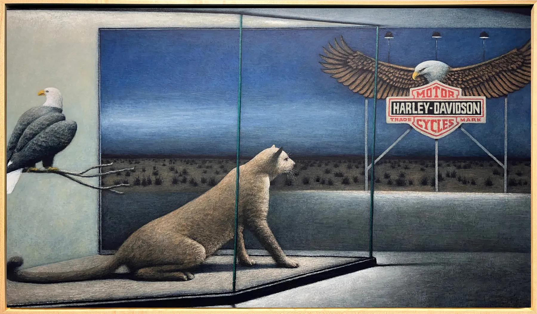 Michael Chapman, Southwest, 2026