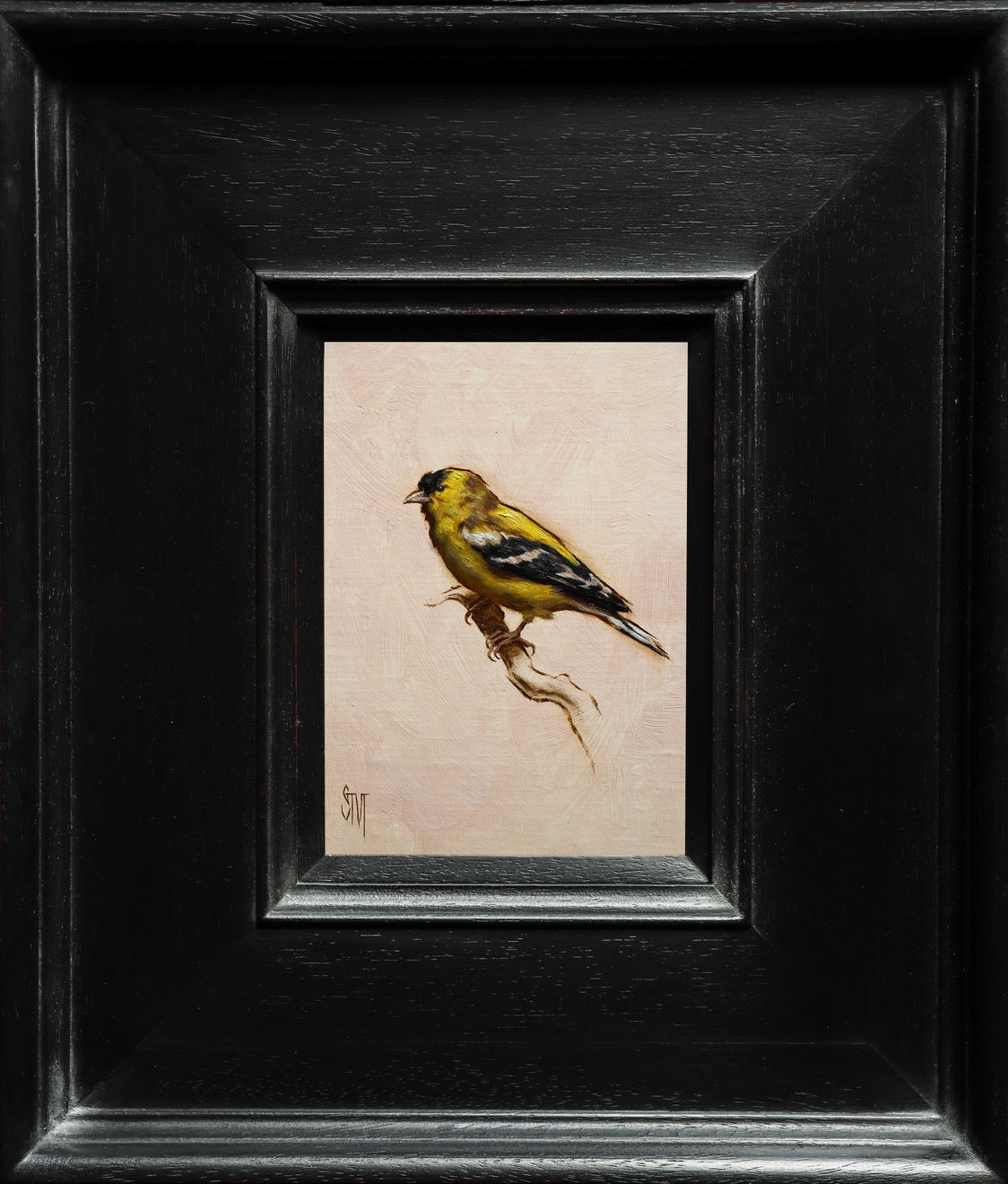 Sarah Margaret Gibson, Impressions of an American Goldfinch, 2022