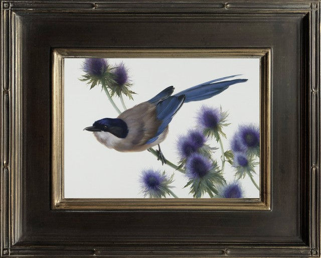 Anhelina Holembivska, Azure Winged Magpie, 2022