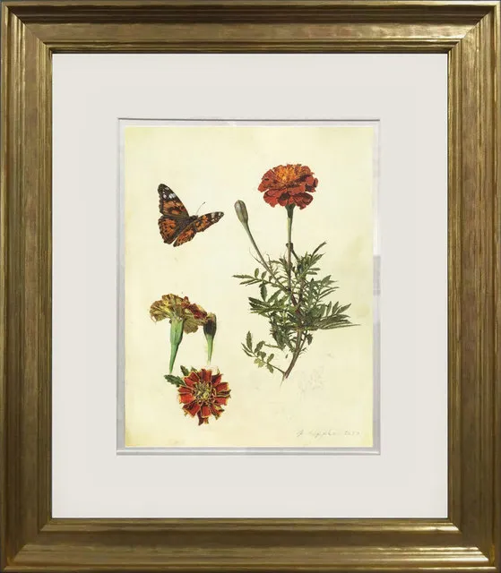 Jeffrey Ripple, Marigolds and Painted Lady, 2020