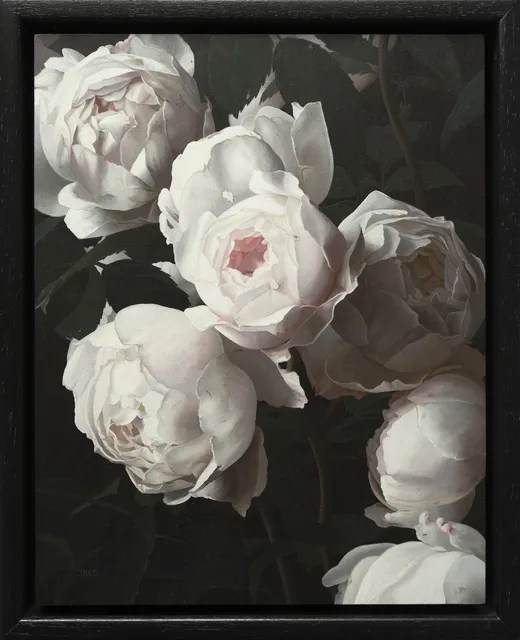 Jane Beharrell, Roses, 2021