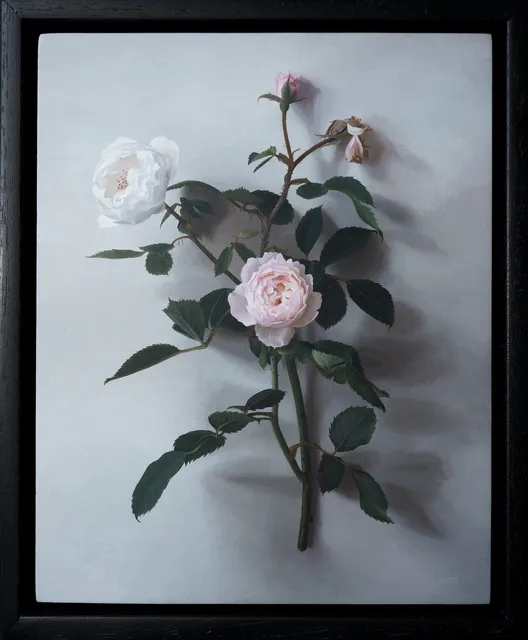 Jane Beharrell, Rose Stem, 2021