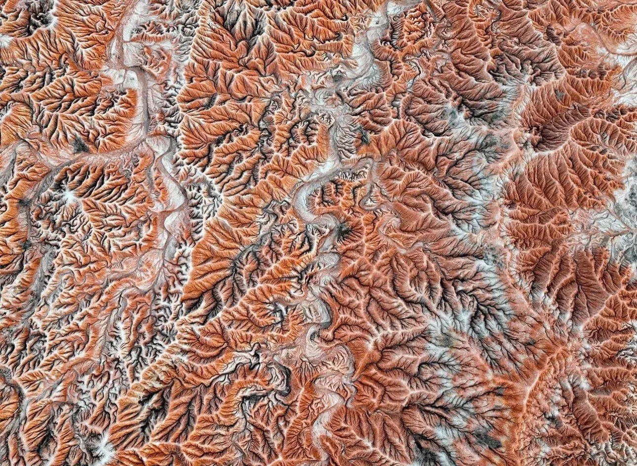 Clara Garrido, Interplanetary 005