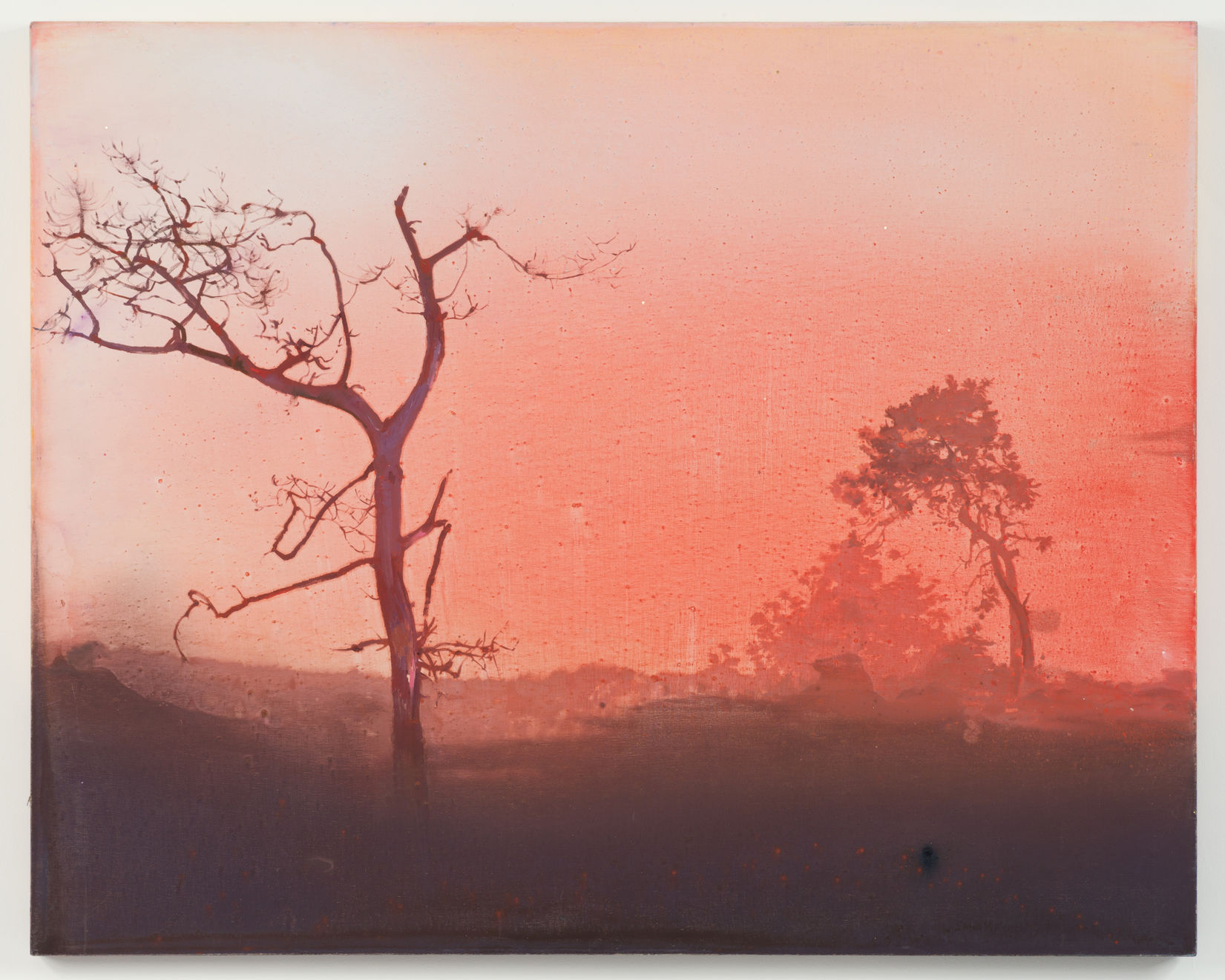 Elizabeth Magill, Fota Park (Red), 2000