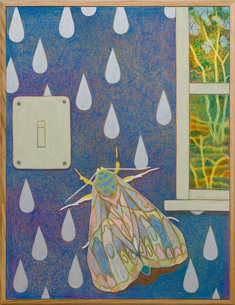 Tom Jean Webb, Our leading light, 2023