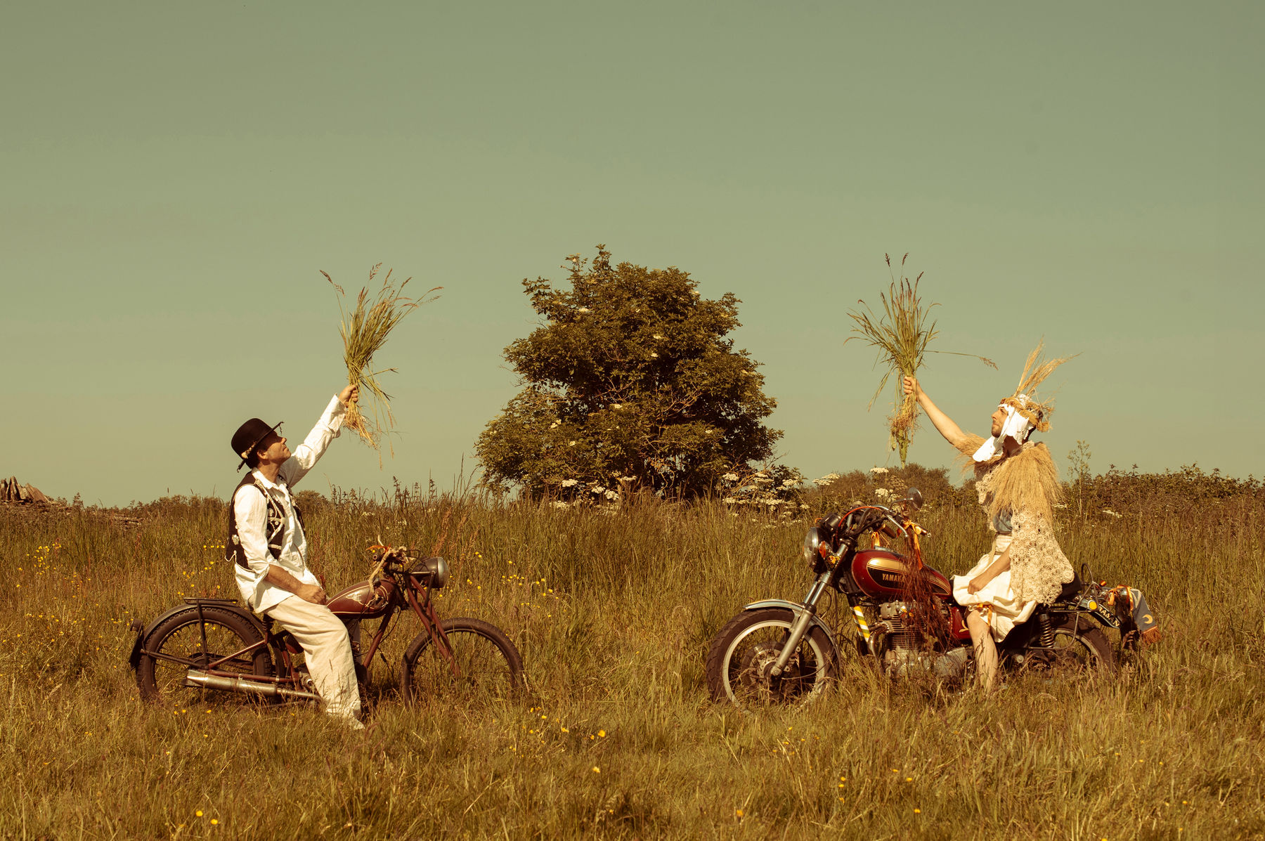 Libby Bove, Hedgers at Midday, 2023