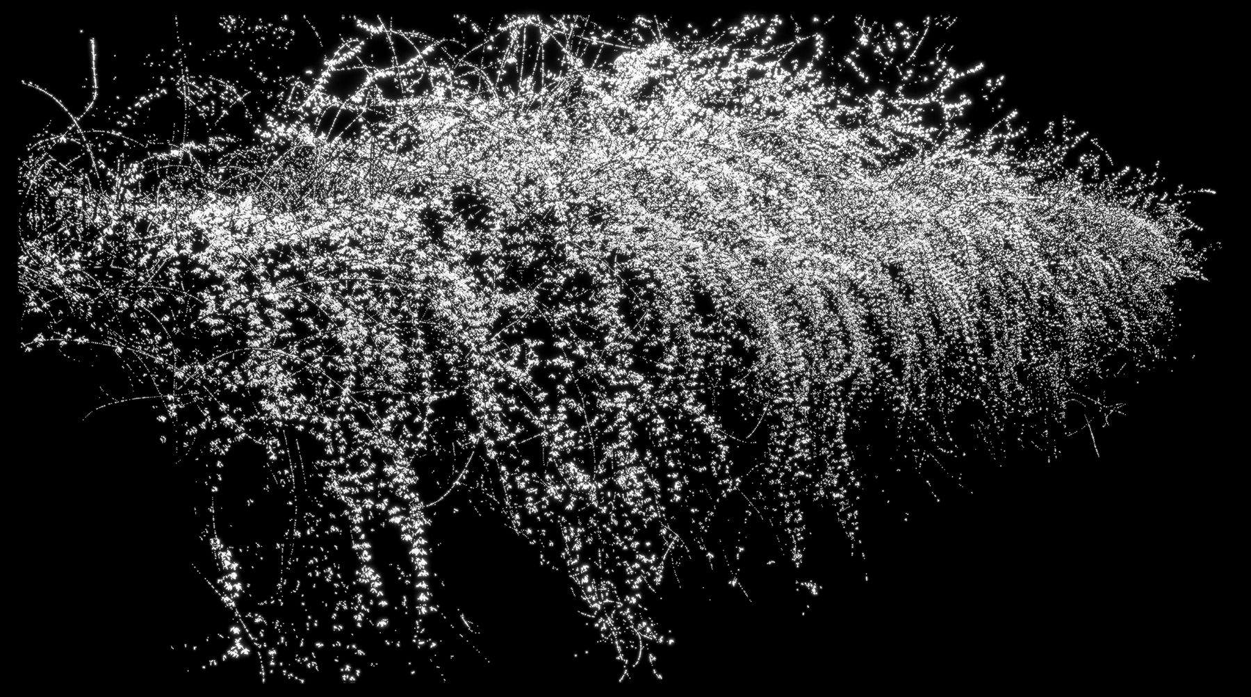 Choi Soowhan, Emptiness - Forsythia, 2016