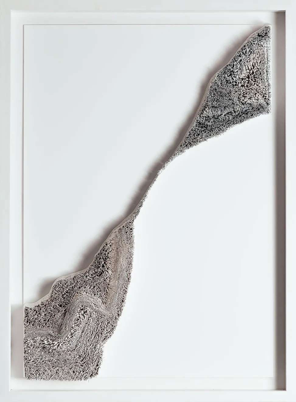 Lauren Baker, Our Journey in the Dream , 2015