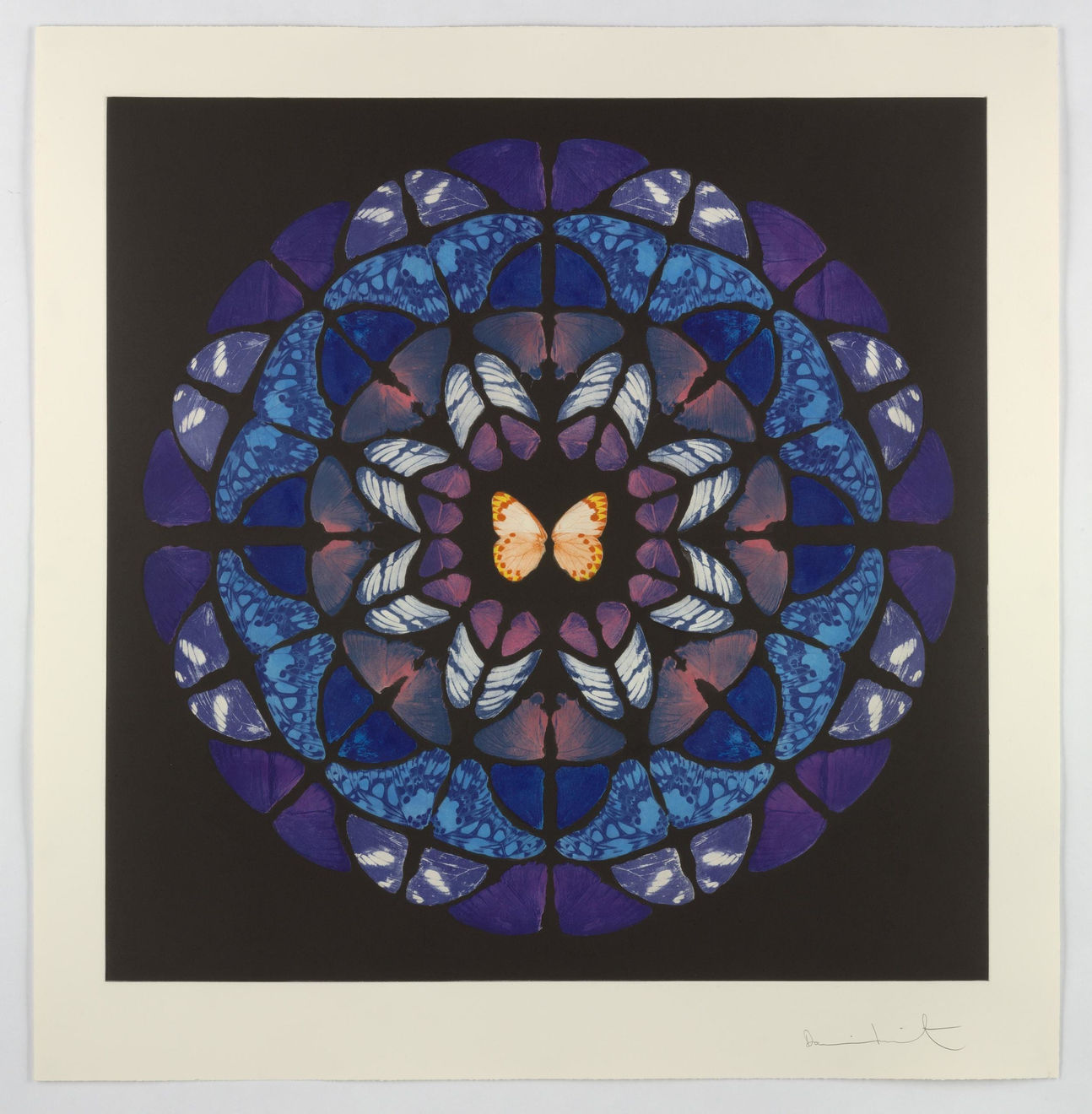 Damien Hirst, Dome, 2009